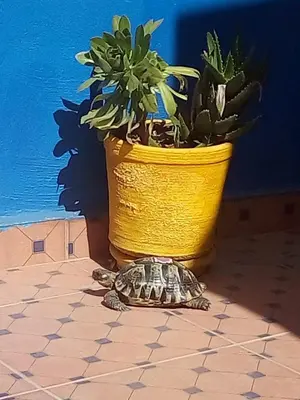 Gallery image of Riad Zinnha in Marrakech
