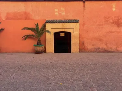 a plant in a pot in front of a building at Riad Lapis-lazuli in Marrakech