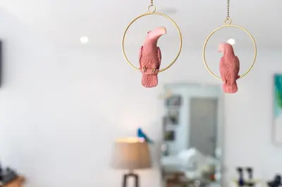 two pink parrots hanging from hooks in a room at Wazo Appart-Hôtel in Marrakech
