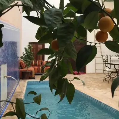 Riad Safia