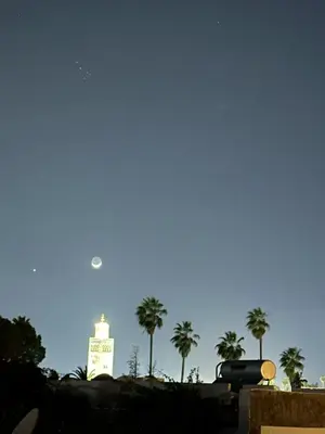 a building with palm trees and a moon in the sky at Riad Majdoulina chez JIJI in Marrakech