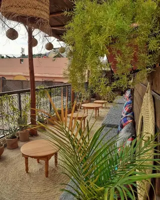 a patio with tables and benches and plants at Color Safrà in Marrakech