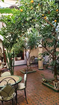 a room with an orange tree and tables and chairs at Riad Tidar by Phoenix in Marrakech
