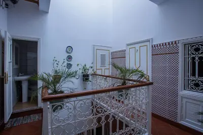 a hallway with a staircase with plants on it at Hotel Zitoune in Marrakech
