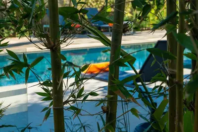 a view of a pool from behind some plants at Sirayane Boutique Hotel & Spa Marrakech in Marrakech