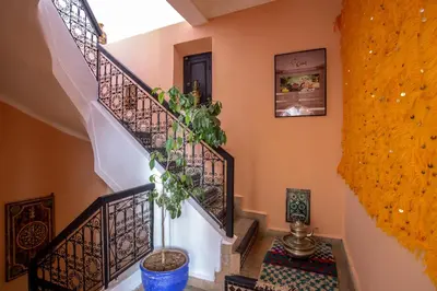 a staircase in a home with a plant at Riad Ciel d'Orient in Marrakech