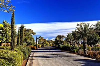 a tree lined road with palm trees on either side at Villa Riad Al Maaden in Marrakech