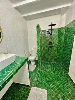 a bathroom with a green tiled shower with a toilet at Riad Green Vines in Marrakech
