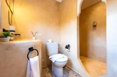 a bathroom with a toilet and a sink and a shower at Riad La Croix Berbere in Marrakech
