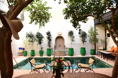 a courtyard with a pool with chairs and plants at Riad Du Petit Prince in Marrakech