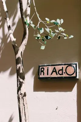 a sign hanging on a wall next to a tree at Riad O in Marrakech