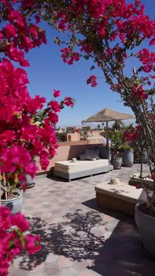 a patio with pink flowers and tables and a tree at Monriad in Marrakech
