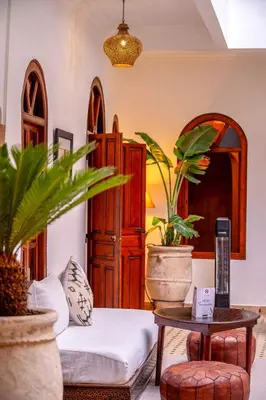 a living room with a couch and a table with plants at Riad Adika & Spa in Marrakech