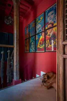 a dog laying on the floor in a room with posters at Riad Kbour & Chou in Marrakech