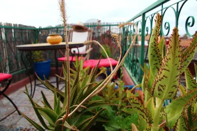 a balcony with plants and a table and a chair at Riad Bibtia in Marrakech
