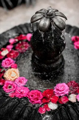 a statue of a bonsai plant on top of flowers at Riad Houdou in Marrakech