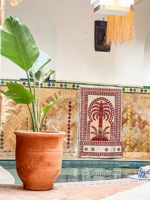 a plant in a pot in a room with a wall at Riad Elli Marrakech in Marrakech