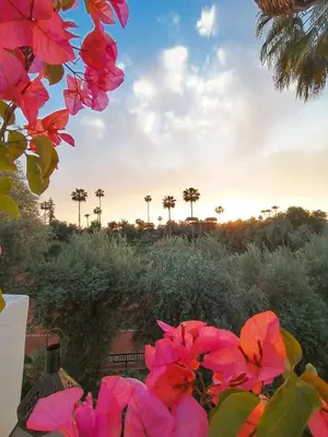 a group of pink flowers in front of a sunset at Riad Elli Marrakech in Marrakech