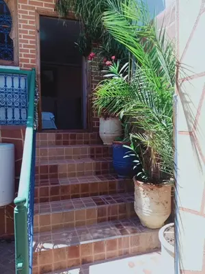 a set of stairs with potted plants on them at Riad Wink in Marrakech