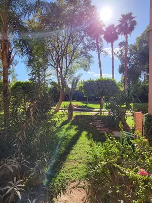 a garden with palm trees and the sun in the background at Oxygène in Marrakech
