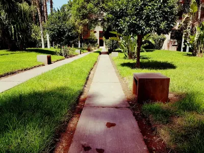 a sidewalk with a bench on the side of a park at Oxygène in Marrakech