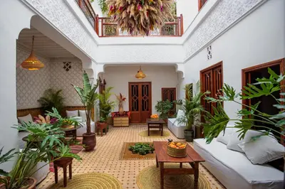 a living room filled with lots of plants at Riad Darino Marrakech Heritage in Marrakech