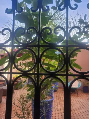 a wrought iron fence with plants in pots at Appartement Centre Gueliz Hanane in Marrakech