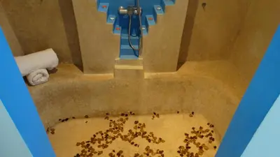 a group of people in a shower in a bathroom at Villa des Roses Privée in Marrakech
