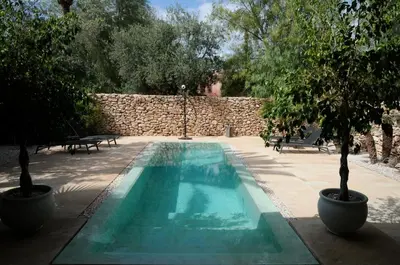 a swimming pool with two trees and a stone wall at Dar Sabra in Marrakech