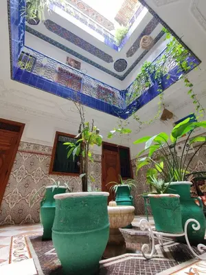 a room with a bunch of green pots and plants at Hotel Medina in Marrakech