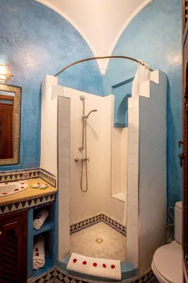 a bathroom with a shower with a toilet and a sink at Riad & Spa Bahia Salam in Marrakech