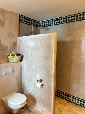 a bathroom with a toilet and a roll of toilet paper at Riad Chameau FDC Hôtel SPA in Marrakech