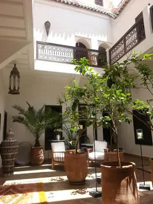 a room with many potted plants in a building at Riad AZZA in Marrakech