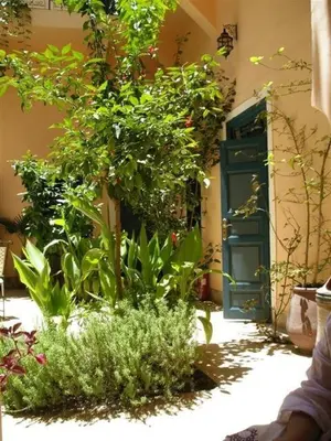 a garden with a tree and plants in front of a building at Riad El Filali in Marrakech
