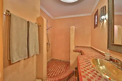 a bathroom with a sink and a shower at Riad Zayane in Marrakech