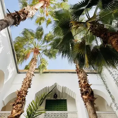 Riad Vert