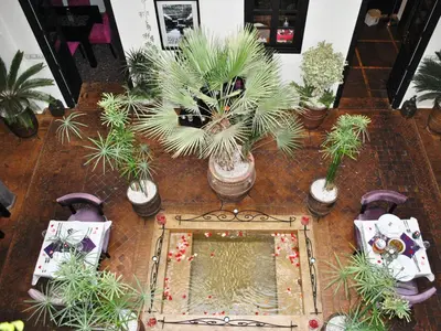an overhead view of a table with potted plants on it at Ryad Amiran & Spa in Marrakech