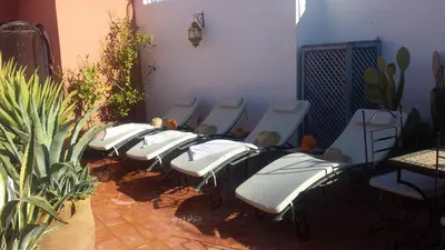 a row of white chairs in a room with plants at Riad Alida in Marrakech