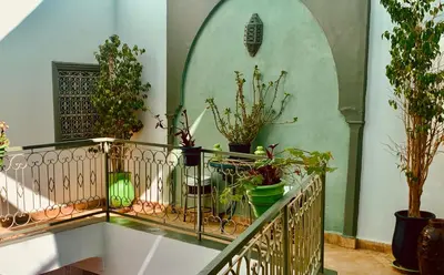 a balcony with a bunch of potted plants on it at Dar Zemrane in Marrakech