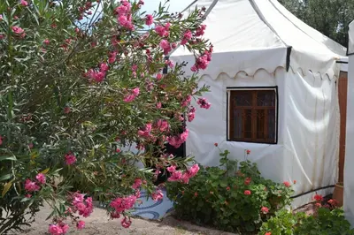 a white house with pink flowers in front of it at Le Relais De Marrakech in Marrakech