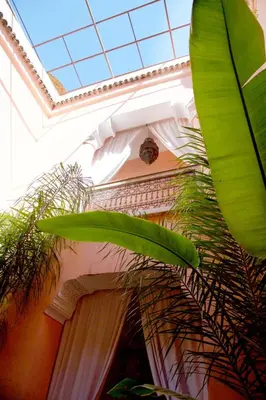 a plant in front of a building with a clock at The Bohemian Jungle in Marrakech