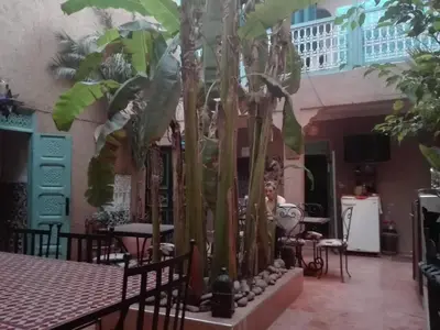 a room with a bunch of palm trees in it at Riad Dar Mchicha in Marrakech