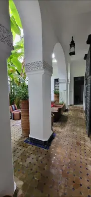 a hallway with white columns and plants in a building at Riad Aloes & Spa in Marrakech