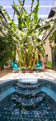 a pool with a bunch of fish in the water at Riad Aloes & Spa in Marrakech