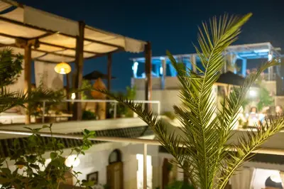 a palm tree in front of a building at night at Riad Le Coq Berbère in Marrakech