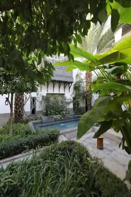 a house with a swimming pool in a garden at Riad Zaouia 44 in Marrakech