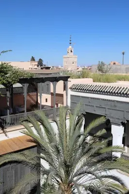 a palm tree in front of a building at Riad Zaouia 44 in Marrakech