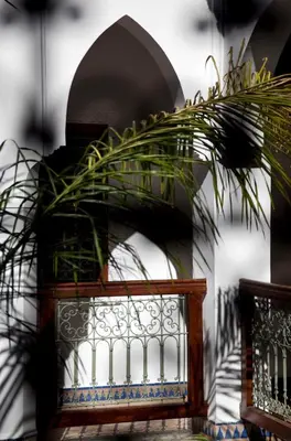 a plant sitting on top of a fence at Riad Les Bougainvilliers in Marrakech