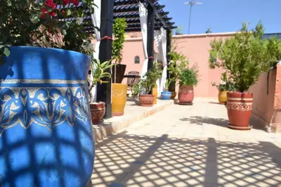 a group of potted plants in pots on a sidewalk at Riad Bayti in Marrakech