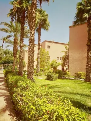 a park with palm trees and a building at Riad Zahra Marrakech Piscine in Marrakech